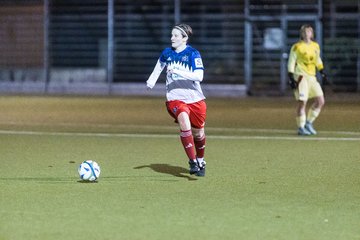 Bild 393 - F SC Alstertal-Langenhorn - Hamburger SV 3 : Ergebnis: 2:2